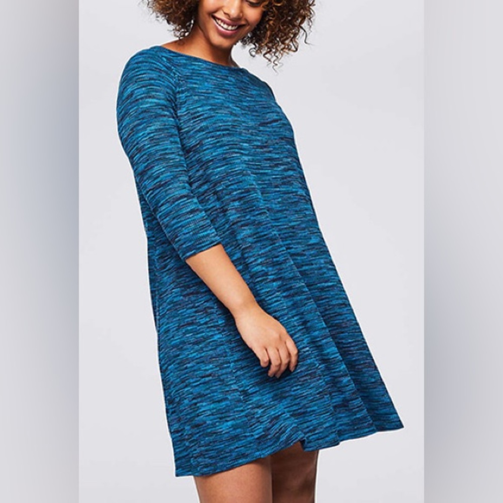 Ribbed spacedye swing dress